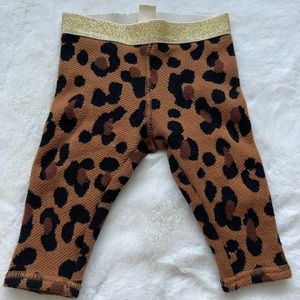 Tucker and Tate leopard girls leggings size 6 months